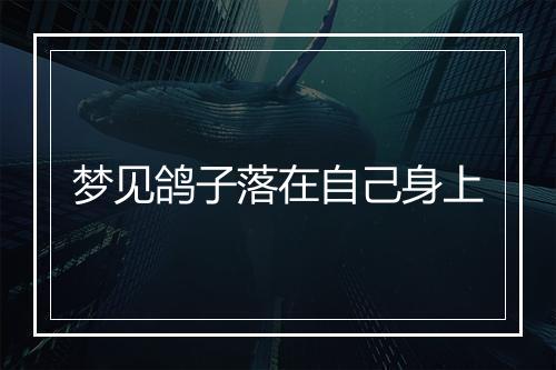 梦见鸽子落在自己身上