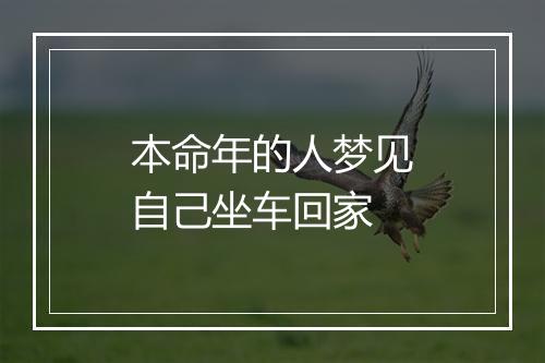 本命年的人梦见自己坐车回家