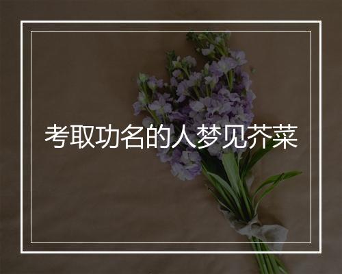 考取功名的人梦见芥菜