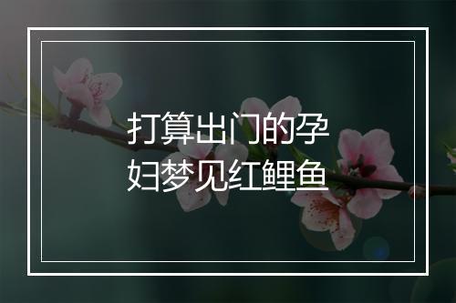 打算出门的孕妇梦见红鲤鱼