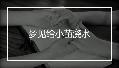 梦见给小苗浇水