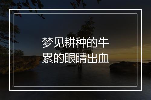 梦见耕种的牛累的眼睛出血