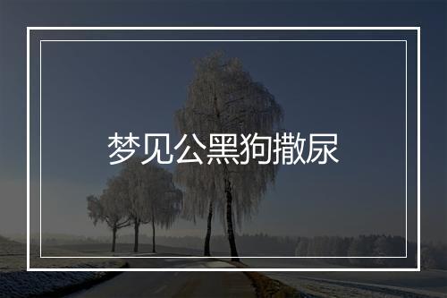 梦见公黑狗撒尿