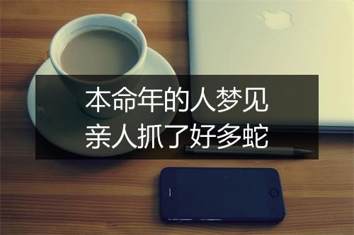 本命年的人梦见亲人抓了好多蛇