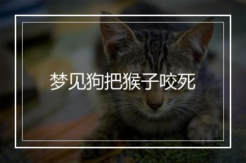 梦见狗把猴子咬死