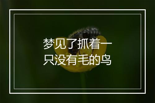 梦见了抓着一只没有毛的鸟