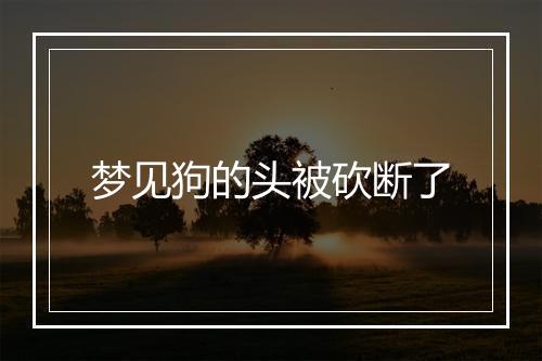 梦见狗的头被砍断了