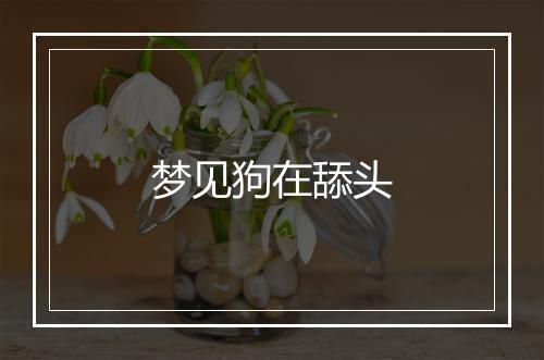 梦见狗在舔头