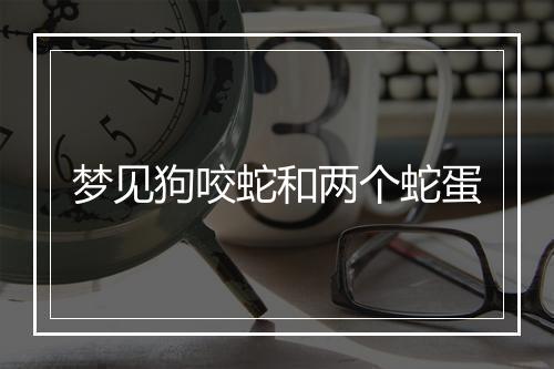 梦见狗咬蛇和两个蛇蛋