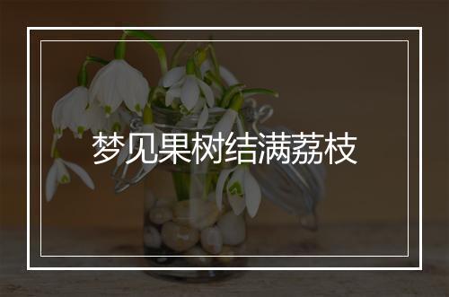 梦见果树结满荔枝