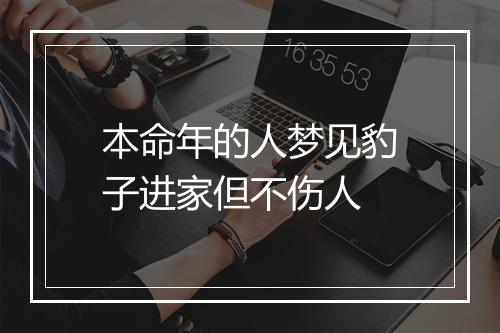 本命年的人梦见豹子进家但不伤人