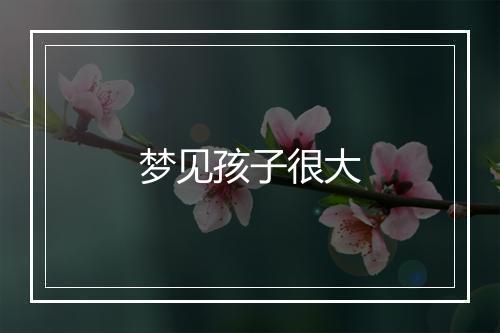 梦见孩子很大