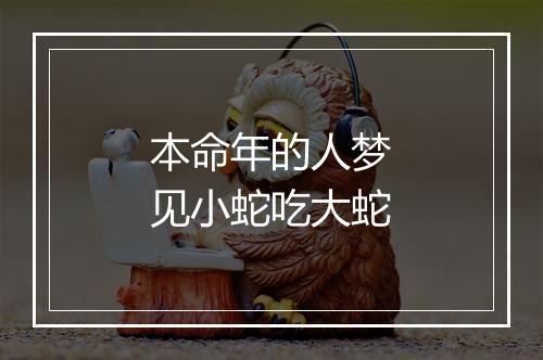 本命年的人梦见小蛇吃大蛇