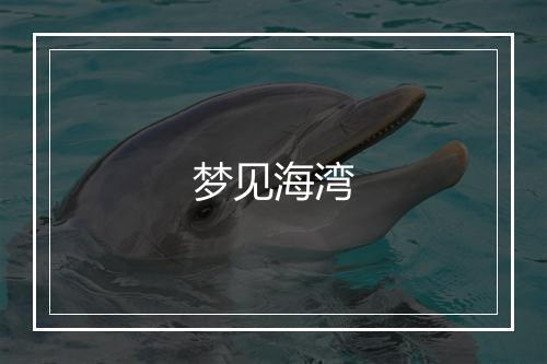 梦见海湾