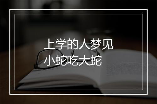 上学的人梦见小蛇吃大蛇