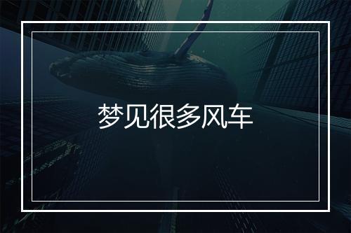 梦见很多风车