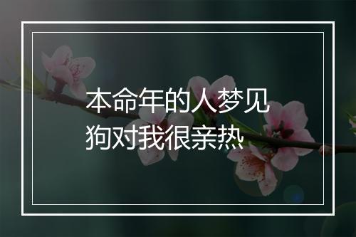 本命年的人梦见狗对我很亲热