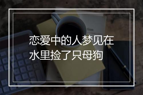 恋爱中的人梦见在水里捡了只母狗