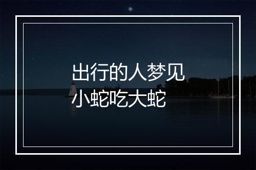 出行的人梦见小蛇吃大蛇