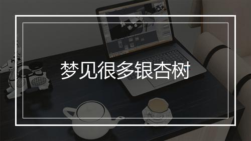 梦见很多银杏树