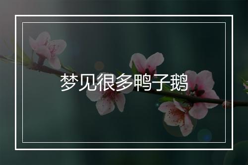 梦见很多鸭子鹅