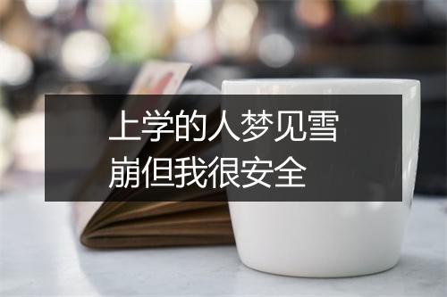 上学的人梦见雪崩但我很安全