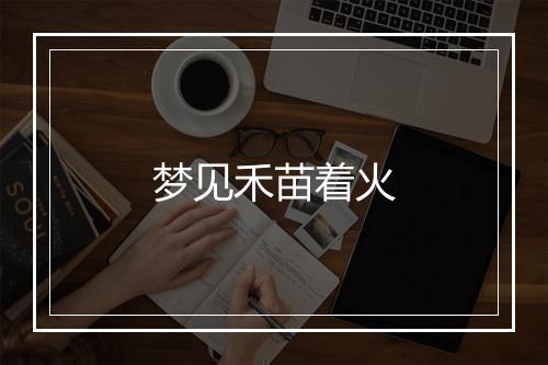 梦见禾苗着火