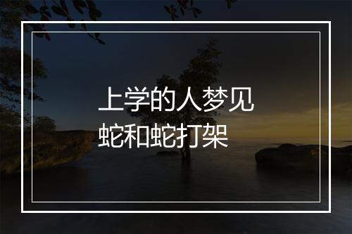 上学的人梦见蛇和蛇打架