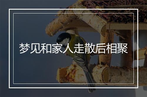 梦见和家人走散后相聚