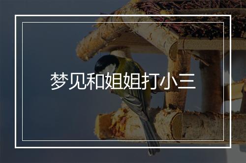 梦见和姐姐打小三