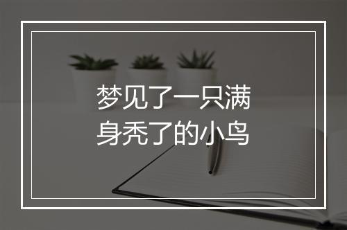 梦见了一只满身秃了的小鸟