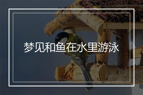 梦见和鱼在水里游泳