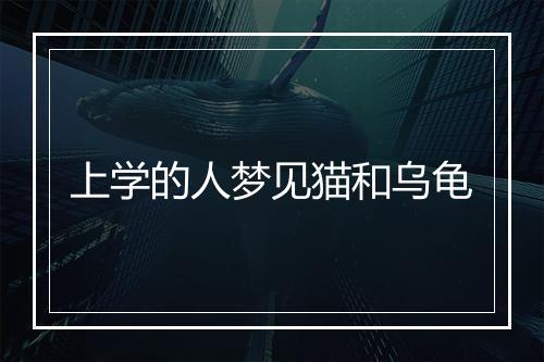 上学的人梦见猫和乌龟