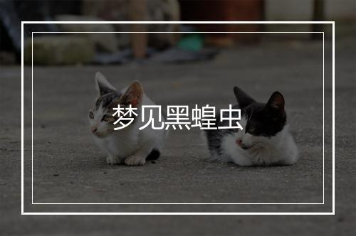 梦见黑蝗虫