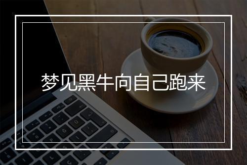 梦见黑牛向自己跑来