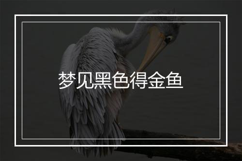 梦见黑色得金鱼