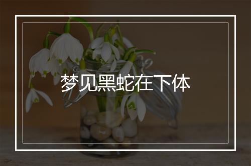 梦见黑蛇在下体