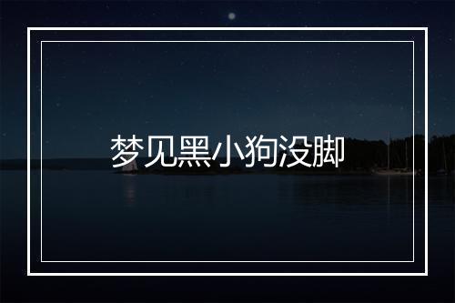 梦见黑小狗没脚