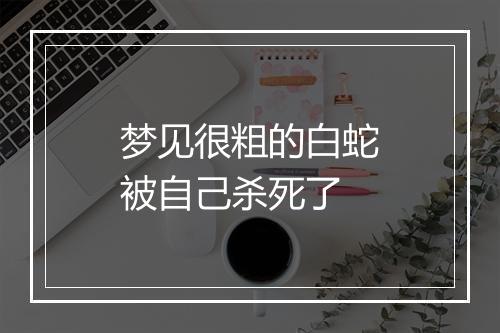 梦见很粗的白蛇被自己杀死了