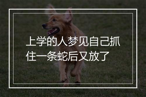 上学的人梦见自己抓住一条蛇后又放了