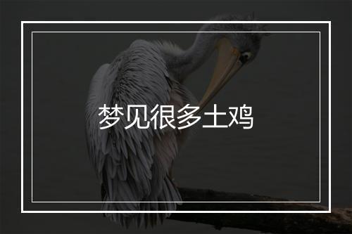 梦见很多土鸡