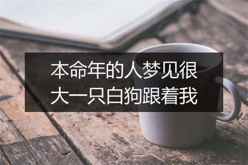 本命年的人梦见很大一只白狗跟着我