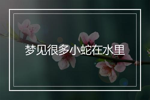 梦见很多小蛇在水里