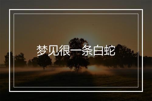 梦见很一条白蛇