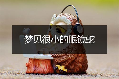 梦见很小的眼镜蛇