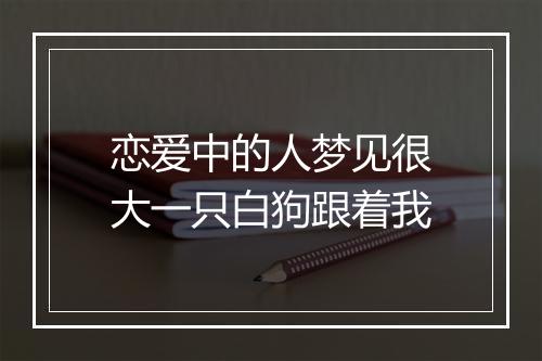 恋爱中的人梦见很大一只白狗跟着我