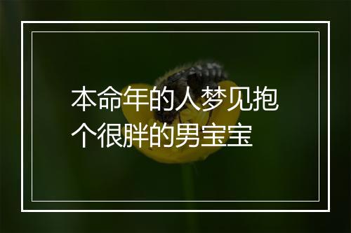 本命年的人梦见抱个很胖的男宝宝