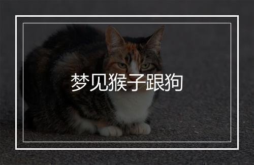 梦见猴子跟狗