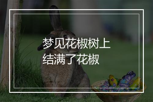 梦见花椒树上结满了花椒