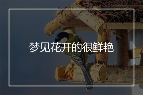 梦见花开的很鲜艳